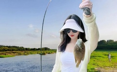 日本熟妇乱人伦A片精品软件